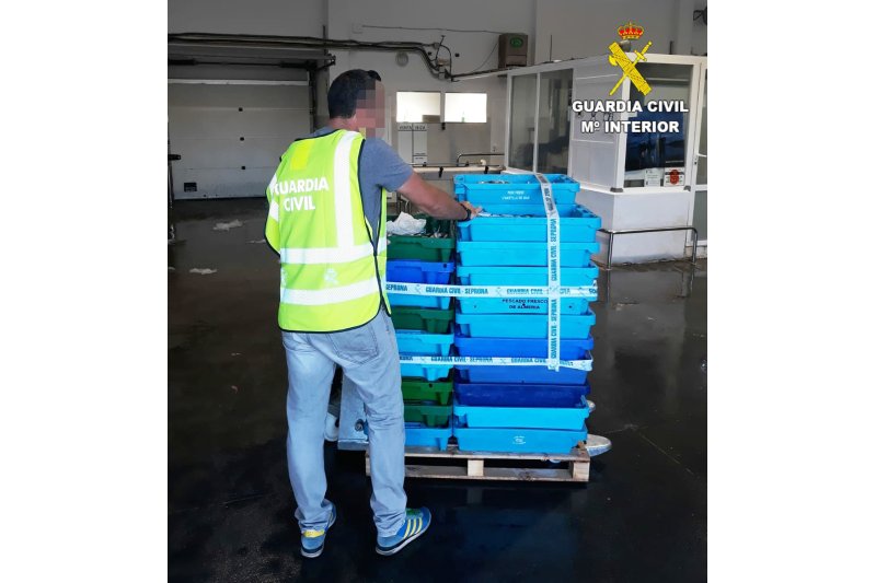 La Guardia Civil incauta más de una tonelada de pescado ilegal en Calp La Guardia Civil incauta más de una tonelada de pescado ilegal en Calp