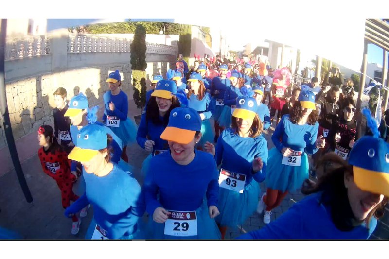 La Cursa Solidaria de Teulada  recoge 110 kilos de alimentos para Cruz Roja La Cursa Solidaria de Teulada  recoge 110 kilos de alimentos para Cruz Roja