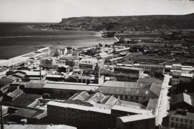 El polp en la memòria El polp en la memòria