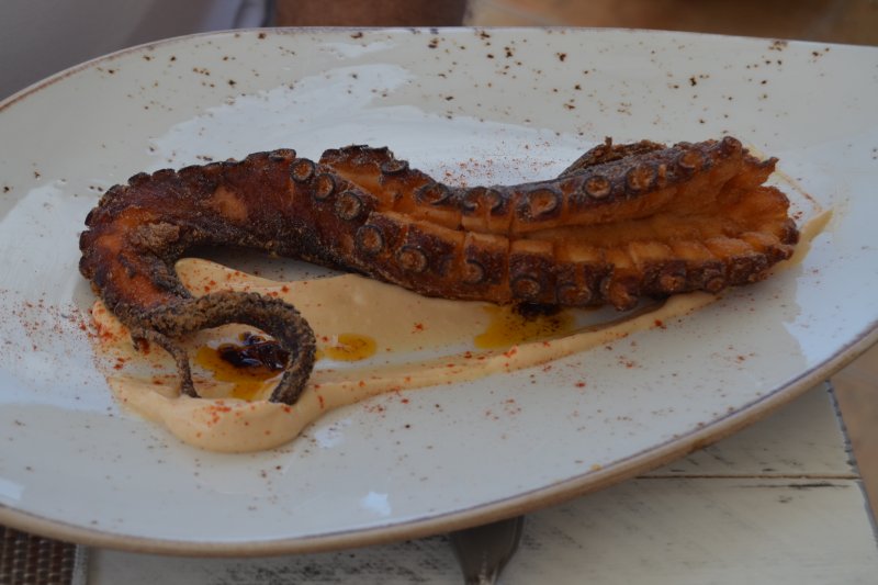 El polp en la memòria El polp en la memòria