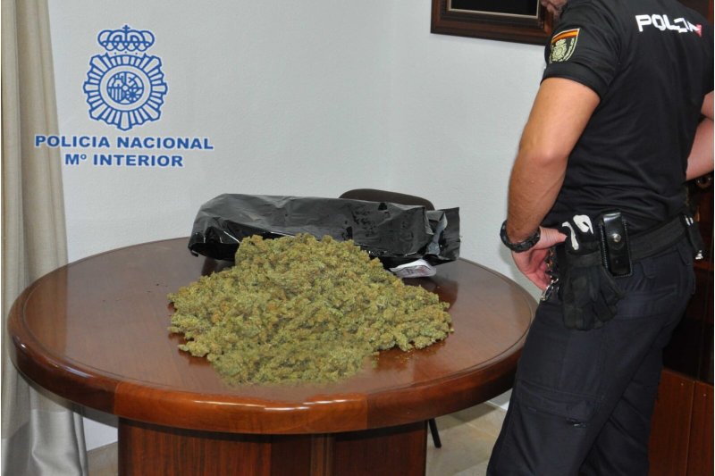 La Policía Nacional detiene en Dénia a una mujer con más de un kilo de cogollos de marihuana  La Policía Nacional detiene en Dénia a una mujer con más de un kilo de cogollos de marihuana