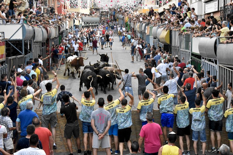 L’Asbeuredor 78 guanya el primer premi de les carrosses de Pedreguer i la natació sincronitzada és el millor grup a peu L’Asbeuredor 78 guanya el primer premi de les carrosses de Pedreguer i la natació sincronitzada és el millor grup a peu