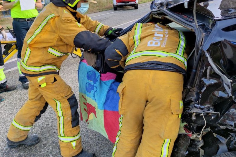 Un jabalí provoca un accidente en la carretera Dénia-Ondara con tres vehículos implicados Un jabalí provoca un accidente en la carretera Dénia-Ondara con tres vehículos implicados