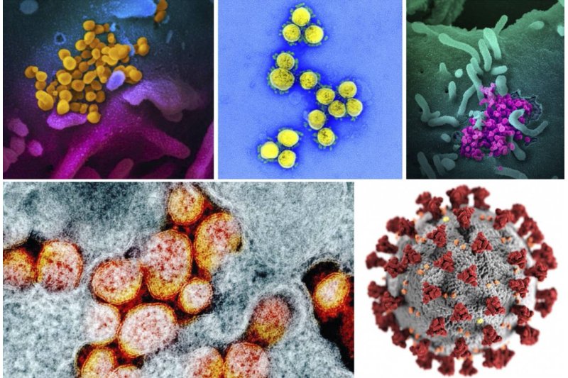 Baja la incidencia acumulada del Covid 19  Baja la incidencia acumulada del Covid 19