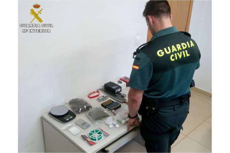 Detenidos en Dénia por cultivar más de 400 plantas de marihuana Detenidos en Dénia por cultivar más de 400 plantas de marihuana