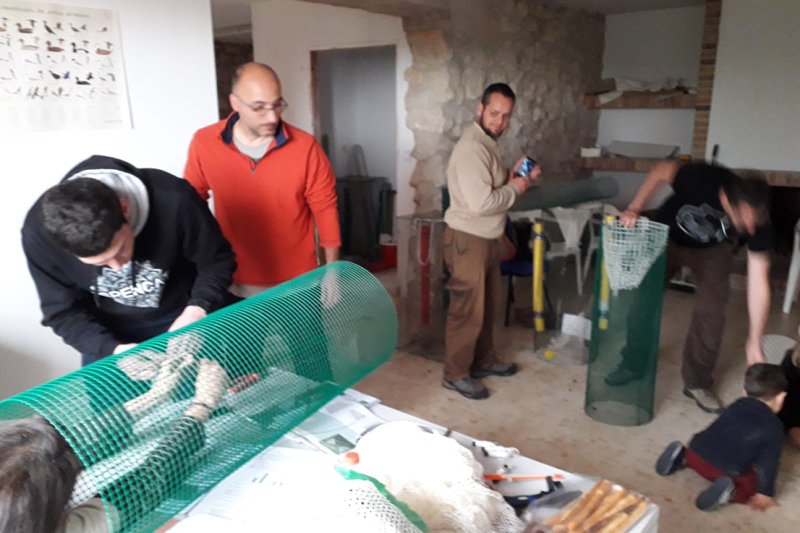 El col·lectiu Pego Viu col·labora en el control de la població de tortugues de Florida a la Marjal El col·lectiu Pego Viu col·labora en el control de la població de tortugues de Florida a la Marjal