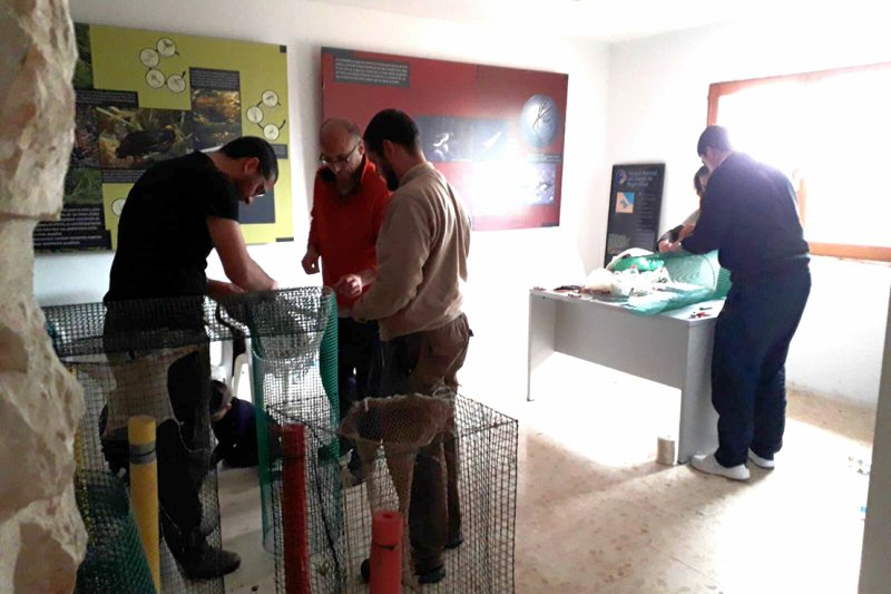 El col·lectiu Pego Viu col·labora en el control de la població de tortugues de Florida a la Marjal El col·lectiu Pego Viu col·labora en el control de la població de tortugues de Florida a la Marjal