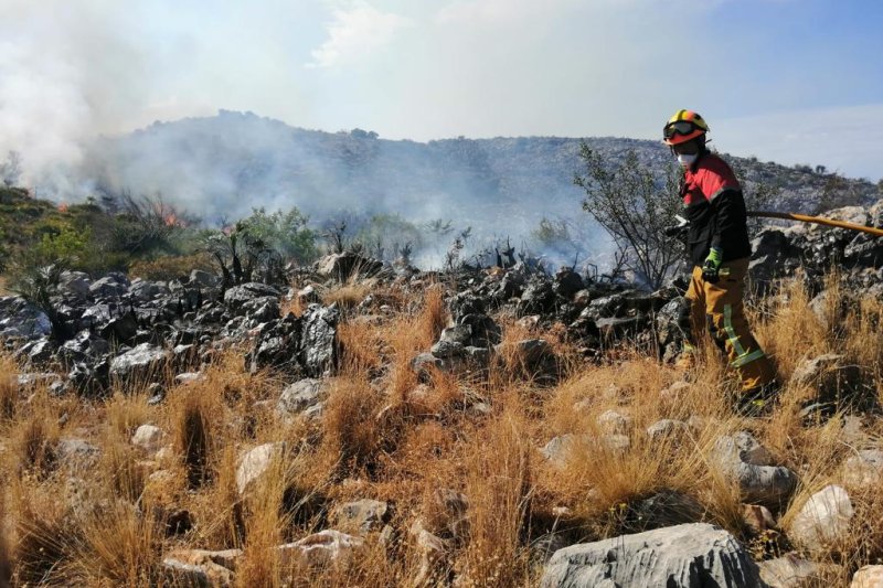 El incendio de un automóvil en la CV-712 calcina cinco hectáreas de matorral del término municipal de Pego El incendio de un automóvil en la CV-712 calcina cinco hectáreas de matorral del término municipal de Pego