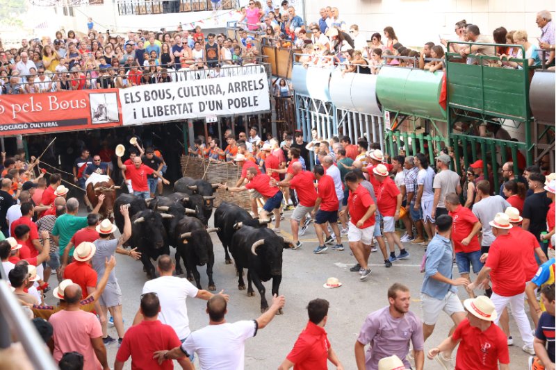 Un estudi sobre la masculinitat i els bous al carrer guanya la beca Perspectiva de Gènere de Pedreguer Un estudi sobre la masculinitat i els bous al carrer guanya la beca Perspectiva de Gènere de Pedreguer
