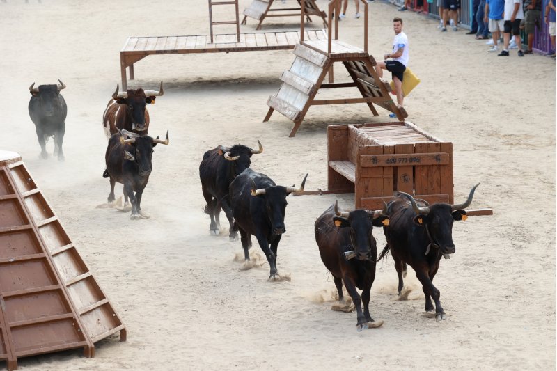PROGRAMA de BOUS al CARRER de les Fogueres de Xàbia PROGRAMA de BOUS al CARRER de les Fogueres de Xàbia
