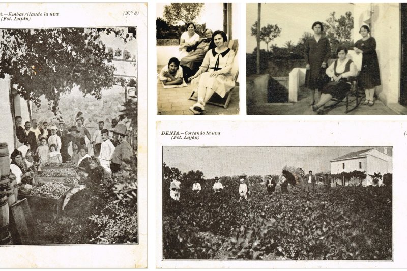 Nueva vida para la casa del bosque Nueva vida para la casa del bosque