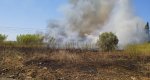Los bomberos controlan un incendio en un descampado de Dénia  Los bomberos controlan un incendio en un descampado de Dénia