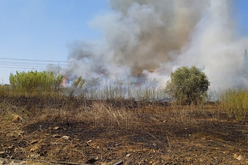 Los bomberos controlan un incendio en un descampado de Dénia  Los bomberos controlan un incendio en un descampado de Dénia