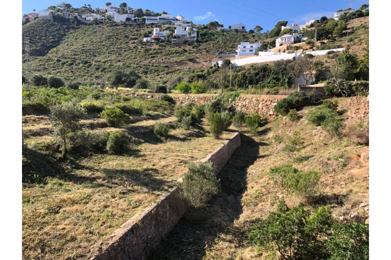 La concejala de Medio Ambiente  de Dénia asegura que la apertura de un cortafuegos tenía permiso de la Conselleria  La concejala de Medio Ambiente  de Dénia asegura que la apertura de un cortafuegos tenía permiso de la Conselleria