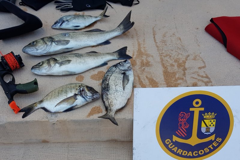 Sorprenden a dos personas pescando ilegalmente en la reserva marina del Cap de Sant Antoni Sorprenden a dos personas pescando ilegalmente en la reserva marina del Cap de Sant Antoni