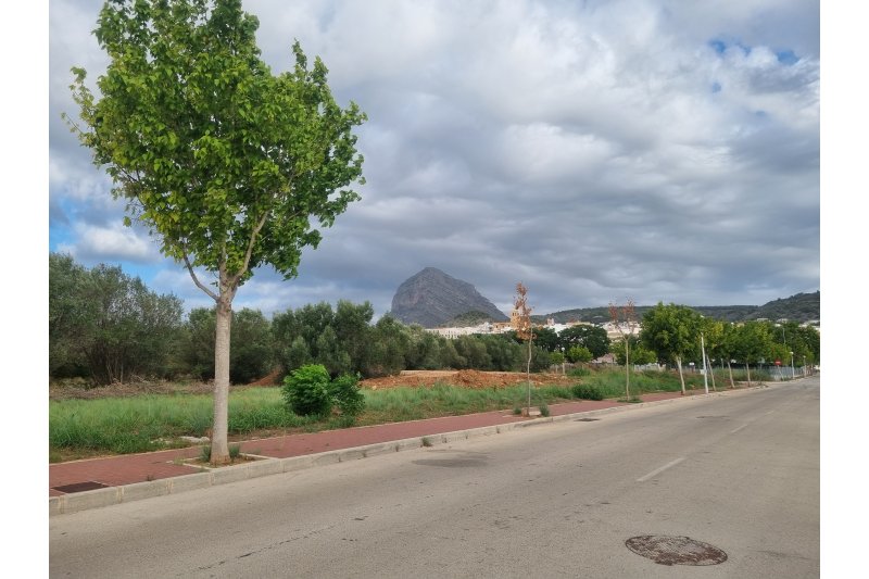 Xàbia aprueba la cesión de tres parcelas al Consell para viviendas de protección social Xàbia aprueba la cesión de tres parcelas al Consell para viviendas de protección social