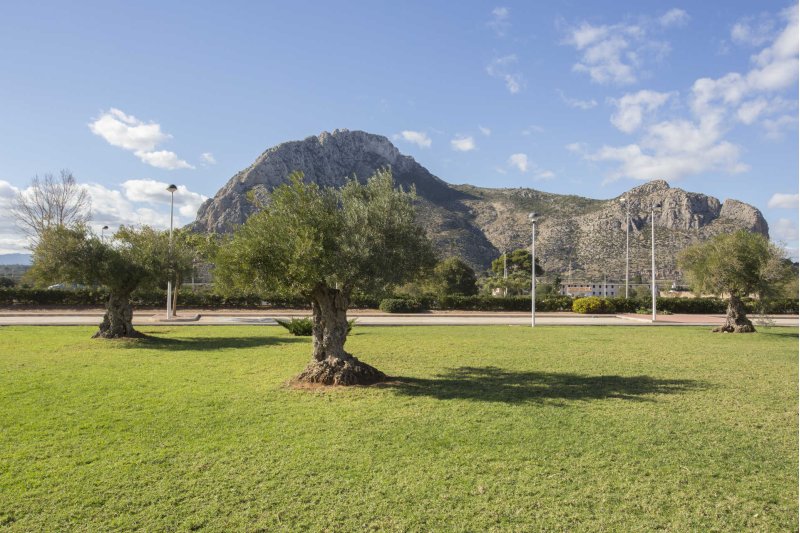 La Guardia Civil desmantela una fiesta de cumpleaños con cerca de cincuenta personas en el Jardín de la Casa de Cultura del Verger La Guardia Civil desmantela una fiesta de cumpleaños con cerca de cincuenta personas en el Jardín de la Casa de Cultura del Verger