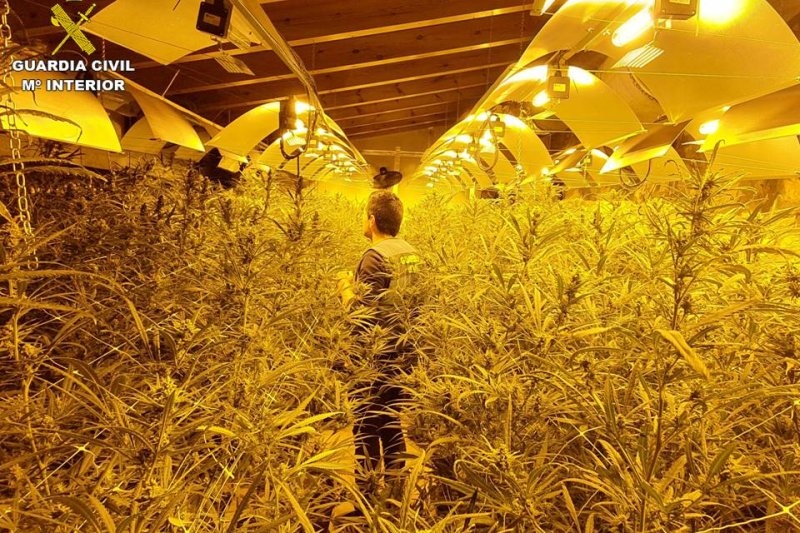 La Guardia Civil desmantela tres laboratorios de marihuana en la Marina Alta La Guardia Civil desmantela tres laboratorios de marihuana en la Marina Alta