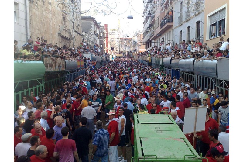 El no als bous embolats i encaixonats a Pedreguer guanya per només 9 vots  El no als bous embolats i encaixonats a Pedreguer guanya per només 9 vots