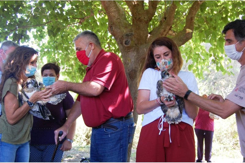 El alcalde de  Pego reivindica  El alcalde de  Pego reivindica