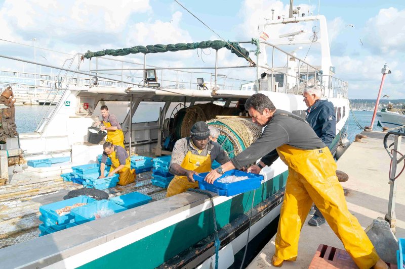 Els Magazinos convoca el I Concurso Viu l’arròs mariner en homenaje a los pescadores Els Magazinos convoca el I Concurso Viu l’arròs mariner en homenaje a los pescadores