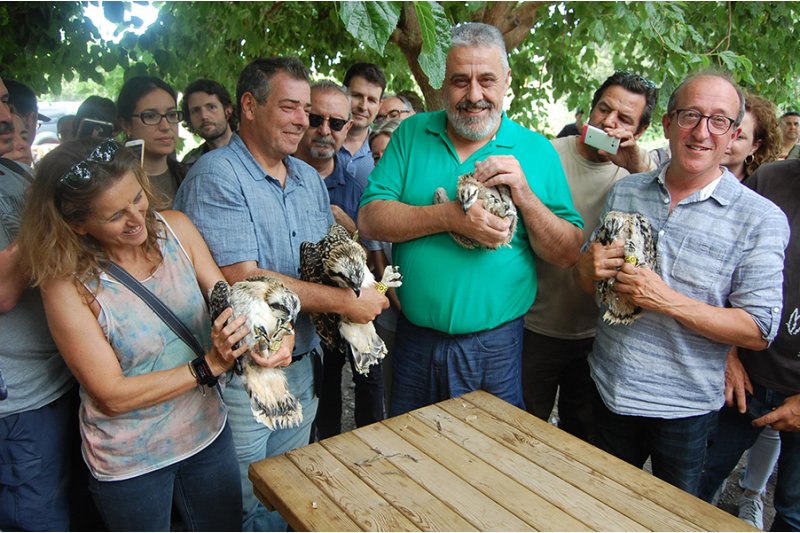 Medio Ambiente inicia la reintroducción del águila pescadora en el parque natural de Pego-Oliva Medio Ambiente inicia la reintroducción del águila pescadora en el parque natural de Pego-Oliva