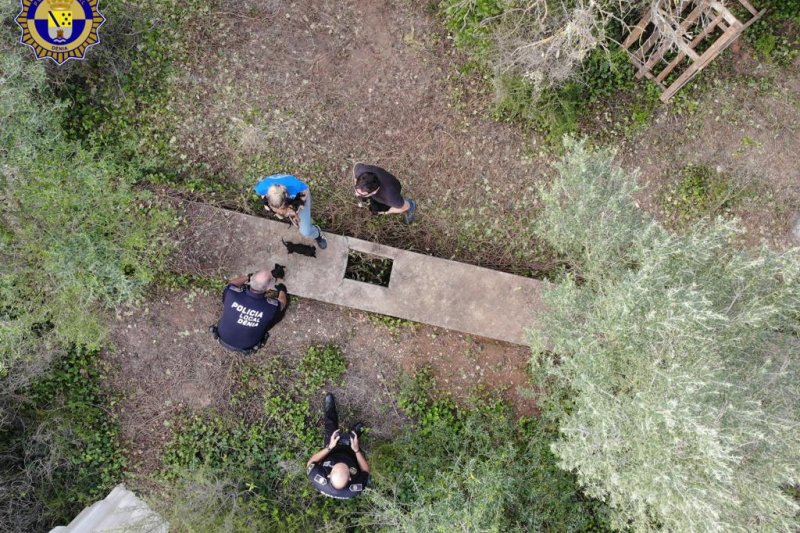 Así vivían 18 perros en terribles condiciones en una chabola de Dénia  Así vivían 18 perros en terribles condiciones en una chabola de Dénia