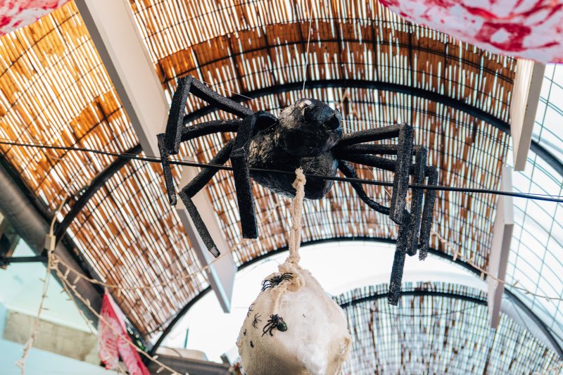 Tapas para pasar un fin de semana de miedo Tapas para pasar un fin de semana de miedo