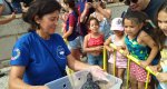 Sueltan siete tortugas nacidas en Dénia tras su periodo de crecimiento  Sueltan siete tortugas nacidas en Dénia tras su periodo de crecimiento