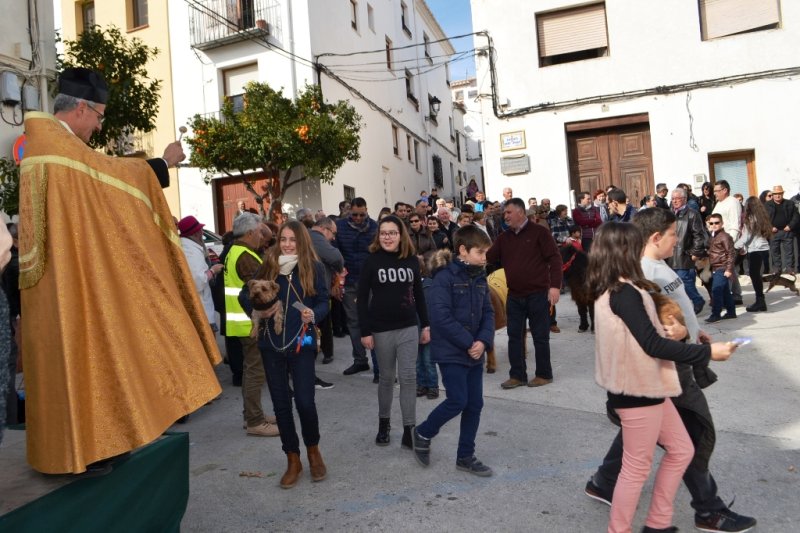 El bon oratge anima el Porrat de Sant Antoni de Benissa amb el mercat medieval i la fira ramadera El bon oratge anima el Porrat de Sant Antoni de Benissa amb el mercat medieval i la fira ramadera