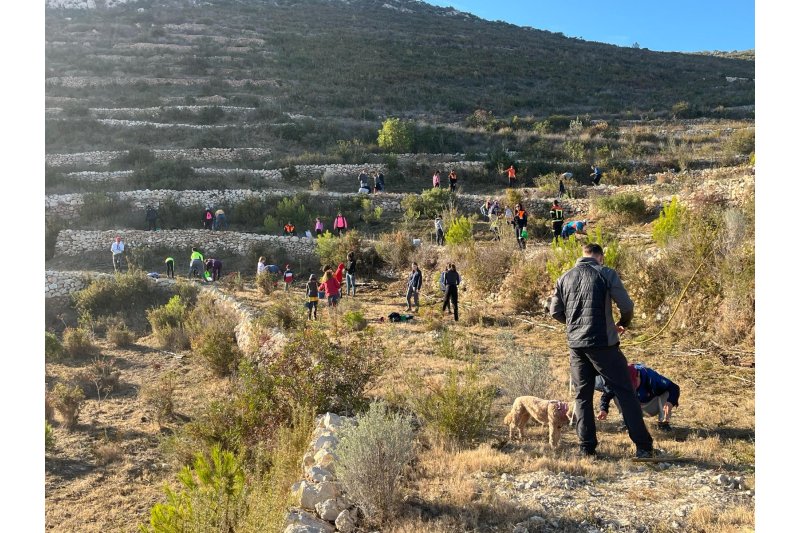 Alrecedor de un centenar de personas participan en la reforestación del Dia de l’Arbre de Xàbia  Alrecedor de un centenar de personas participan en la reforestación del Dia de l’Arbre de Xàbia