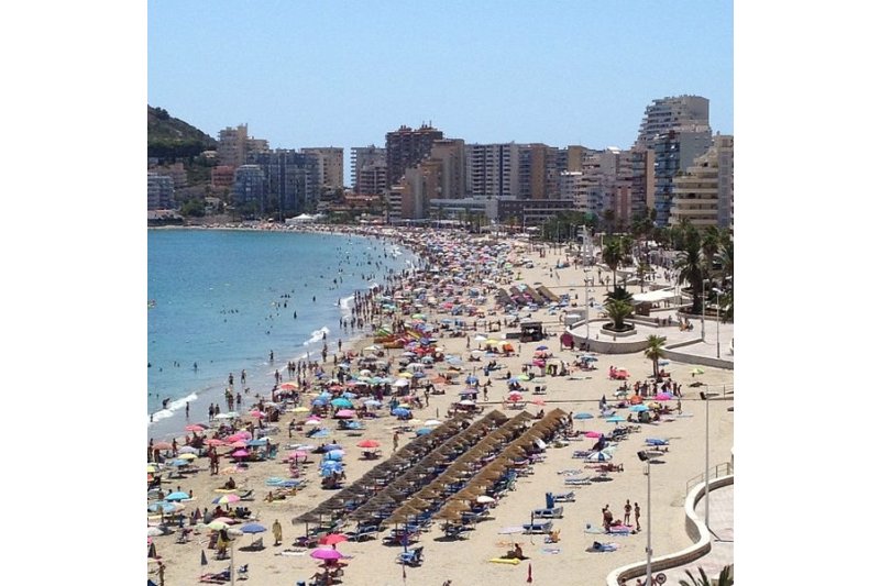 La playa de La Fossa de Calp se cierra al baño  por la mala calidad del agua  La playa de La Fossa de Calp se cierra al baño  por la mala calidad del agua