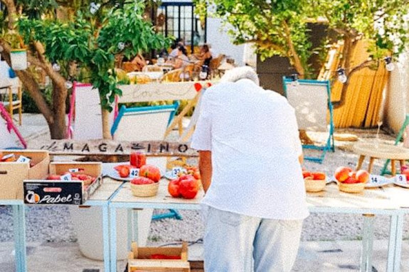 Vicent Mahiques guanya el primer premi a la millor tomaca de La Marina Vicent Mahiques guanya el primer premi a la millor tomaca de La Marina