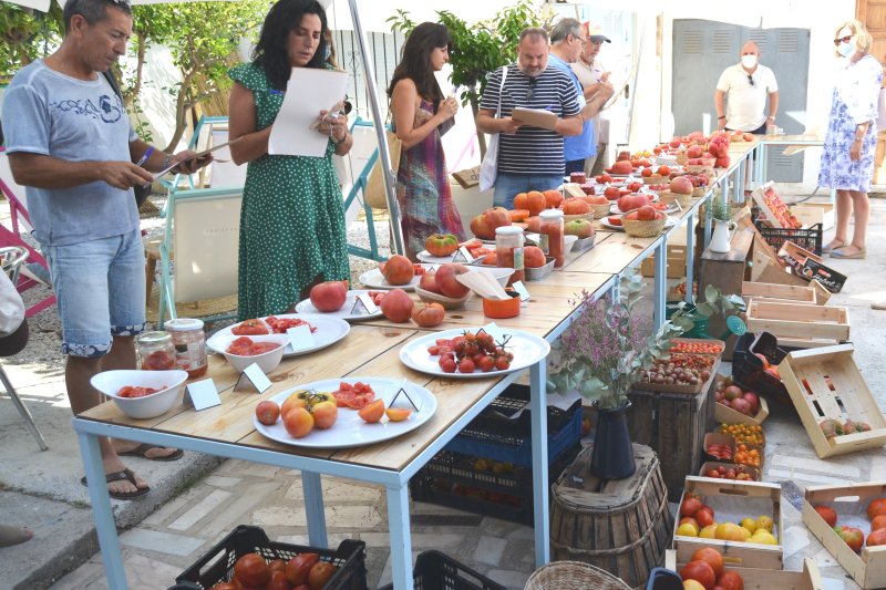 Vicent Mahiques guanya el primer premi a la millor tomaca de La Marina Vicent Mahiques guanya el primer premi a la millor tomaca de La Marina