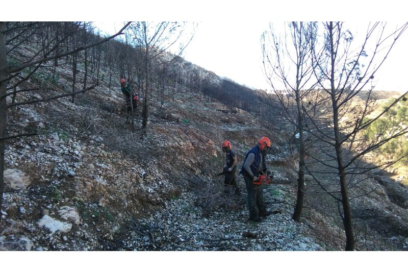 Cuatro operarios refuerzan las labores de rehabilitación de la Granadella Cuatro operarios refuerzan las labores de rehabilitación de la Granadella