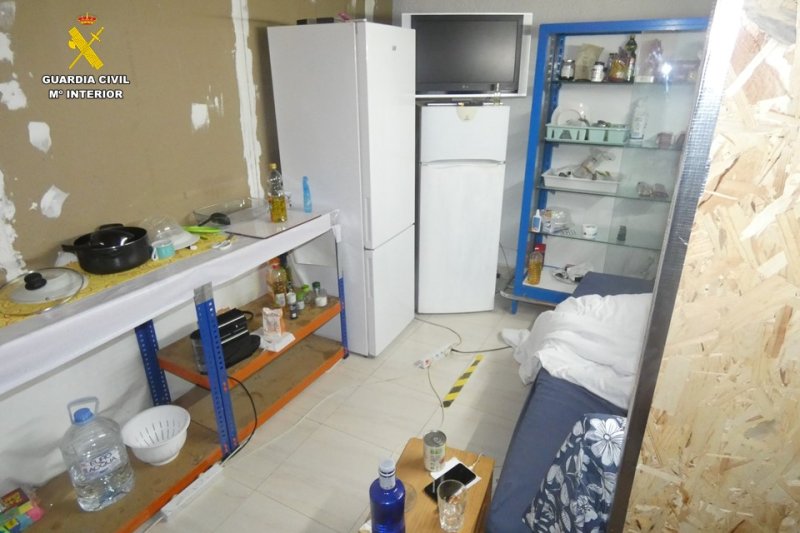 La Guardia Civil desmantela un cultivo con más de 2.400 plantas de marihuana en Els Poblets  La Guardia Civil desmantela un cultivo con más de 2.400 plantas de marihuana en Els Poblets