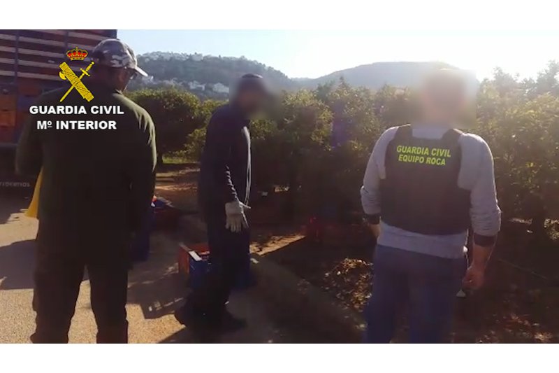 La Guardia Civil de Calp desarticula un grupo dedicado a falsificar documentos agrícolas La Guardia Civil de Calp desarticula un grupo dedicado a falsificar documentos agrícolas