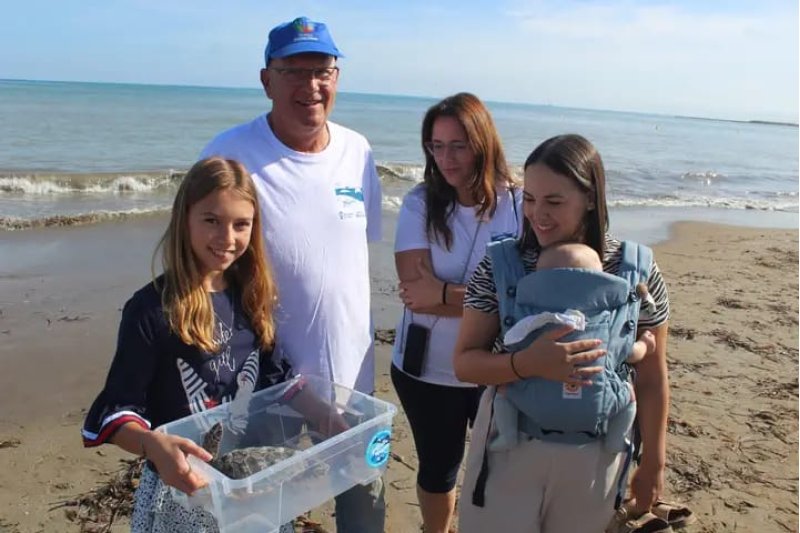 Entran al mar las últimas 30 tortugas de los nidos de Dénia Entran al mar las últimas 30 tortugas de los nidos de Dénia