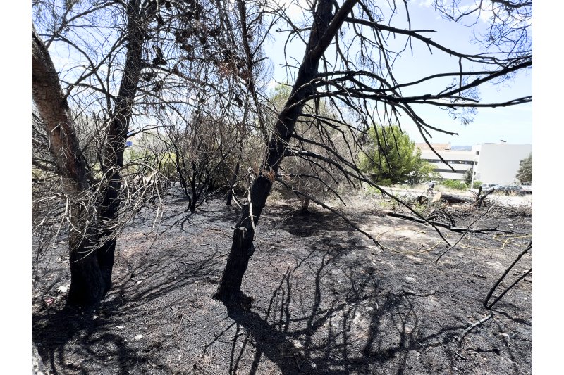 Arde una parcela junto al instituto Antoni Llidó de Xàbia Arde una parcela junto al instituto Antoni Llidó de Xàbia