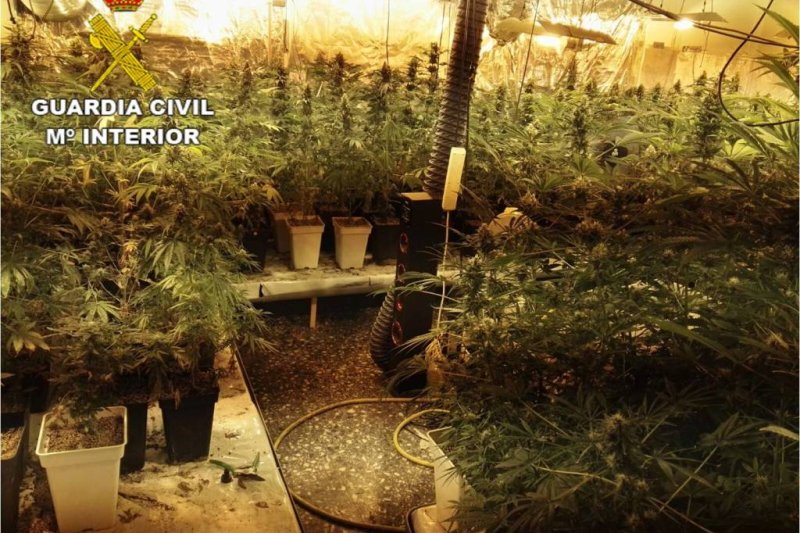 Cinco detenidos en Pedreguer por tráfico de drogas  Cinco detenidos en Pedreguer por tráfico de drogas