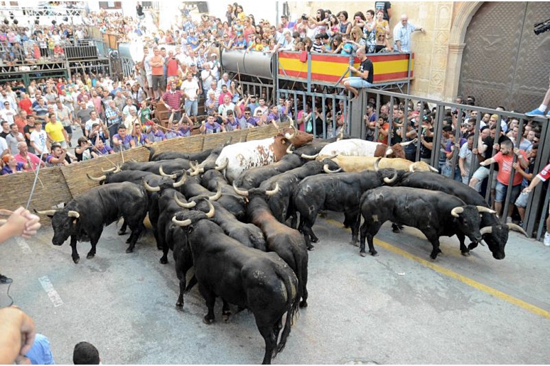 L’Ajuntament de Pedreguer no descarta una consulta popular per decidir sobre el futur de la quintà arran el debat que s’ha obert amb la suspensió de les Festes de Juliol  L’Ajuntament de Pedreguer no descarta una consulta popular per decidir sobre el futur de la quintà arran el debat que s’ha obert amb la suspensió de les Festes de Juliol