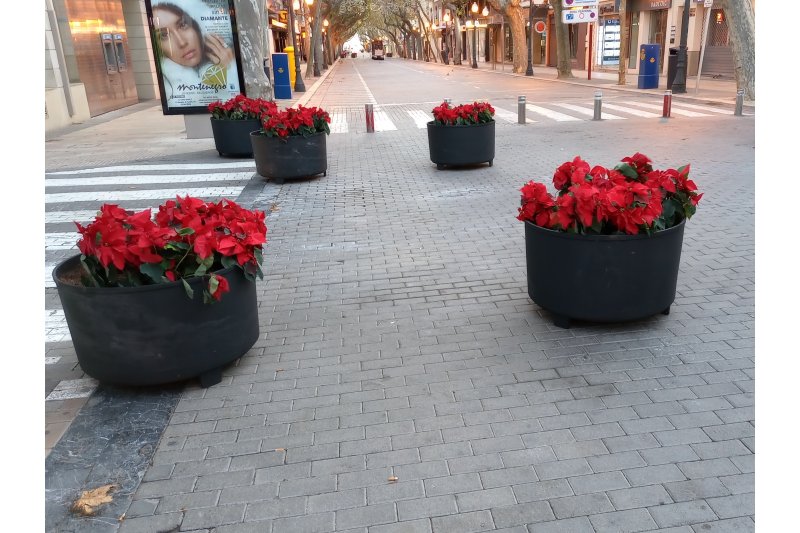 Y ahora maceteros para que no se pueda aparcar Y ahora maceteros para que no se pueda aparcar