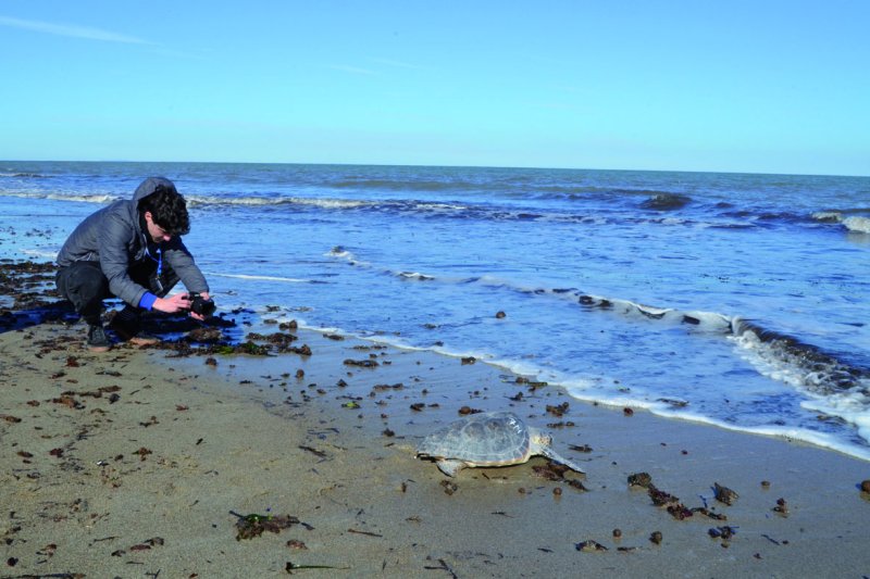 La ‘patrulla marina’ de los coles de la comarca con la Posidonia  La ‘patrulla marina’ de los coles de la comarca con la Posidonia