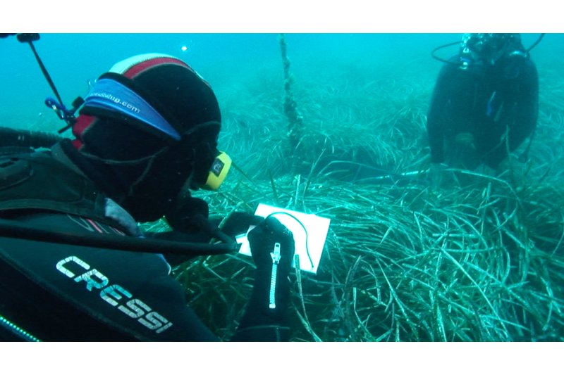La Fundación Oceanogràfic certifica el buen estado de la biodiversidad marina de Xàbia pero alerta de signos de regresión La Fundación Oceanogràfic certifica el buen estado de la biodiversidad marina de Xàbia pero alerta de signos de regresión