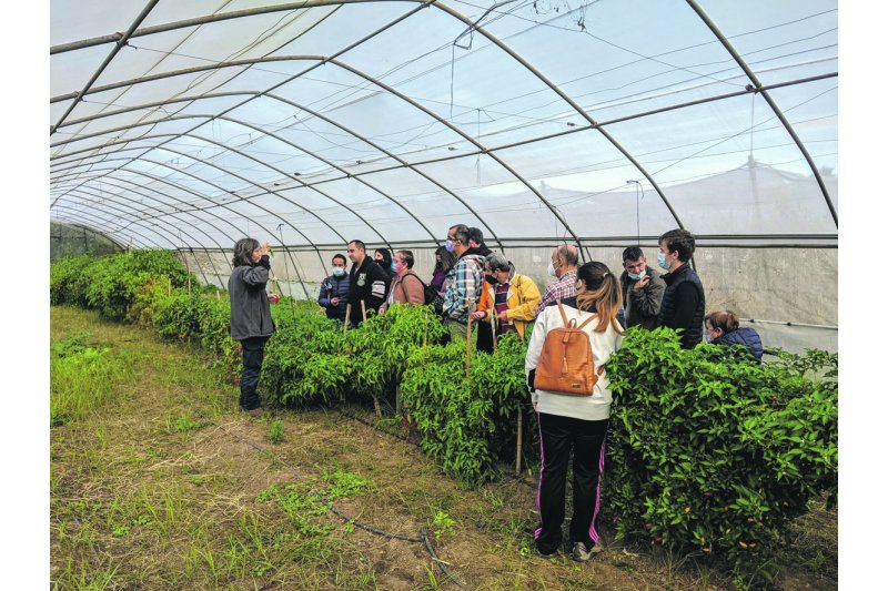 Nace un proyecto que pretende dar trabajo a los usuarios de Aprodesco  Nace un proyecto que pretende dar trabajo a los usuarios de Aprodesco