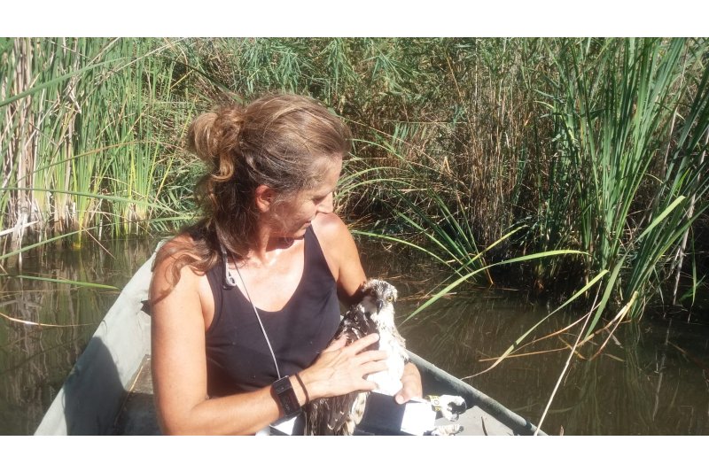 Listas para emprender el vuelo Listas para emprender el vuelo