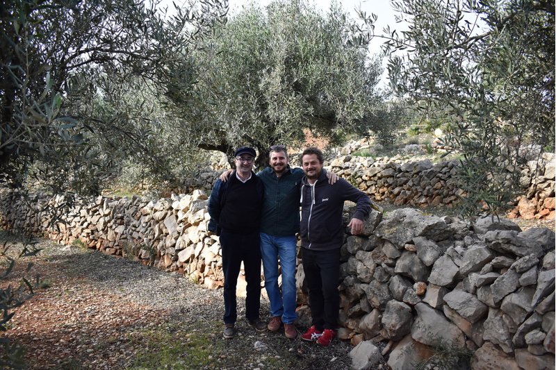 Temps d’oli Temps d’oli