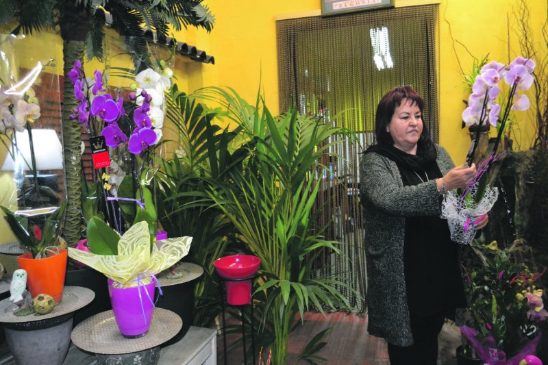 Díselo con flores y sorprende a los que más quieres Díselo con flores y sorprende a los que más quieres