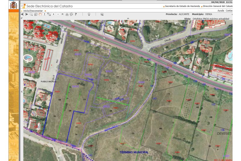 Una empresa privada creará un bosque mediterráneo en Les Deveses  Una empresa privada creará un bosque mediterráneo en Les Deveses