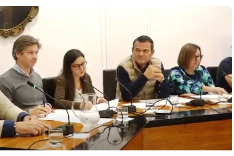 El PP de Dénia presenta alegaciones contra la subida del IBI  El PP de Dénia presenta alegaciones contra la subida del IBI